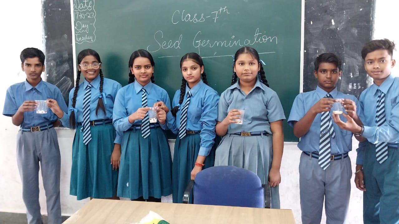 Alpine International School