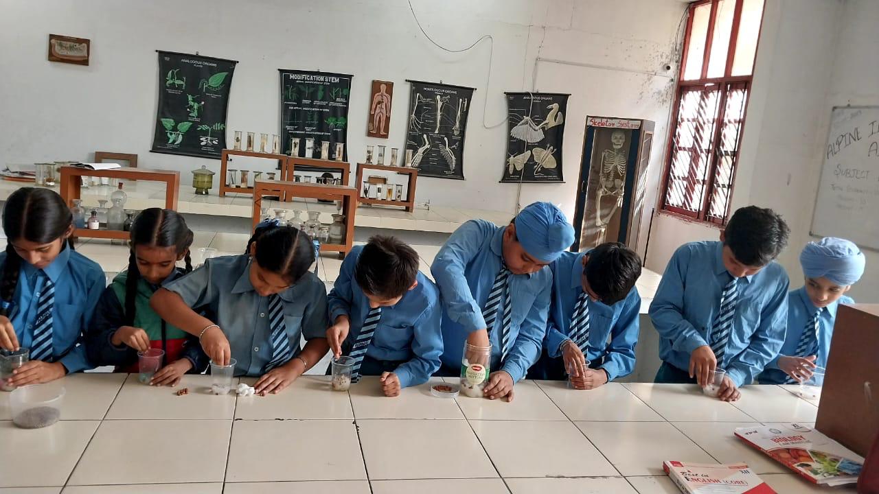 Alpine International School