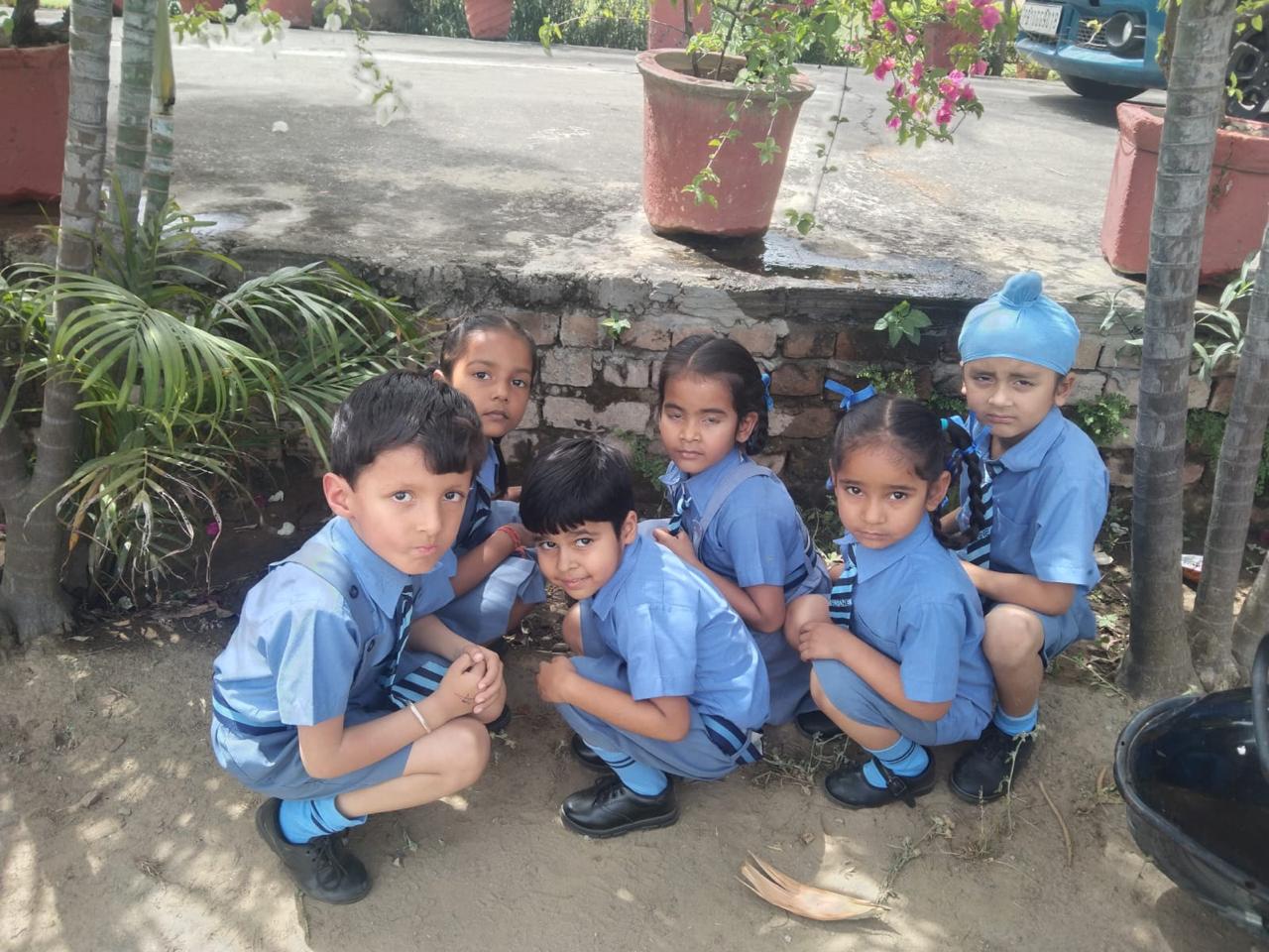 Alpine International School