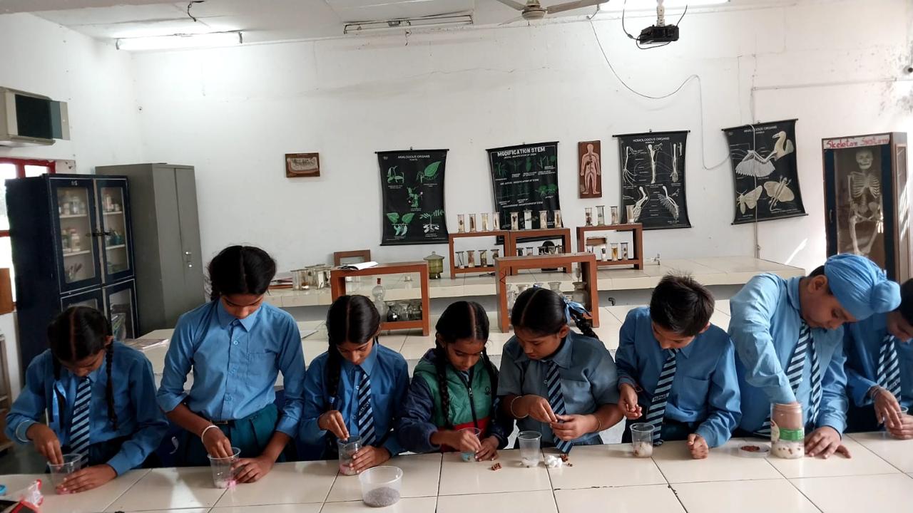 Alpine International School