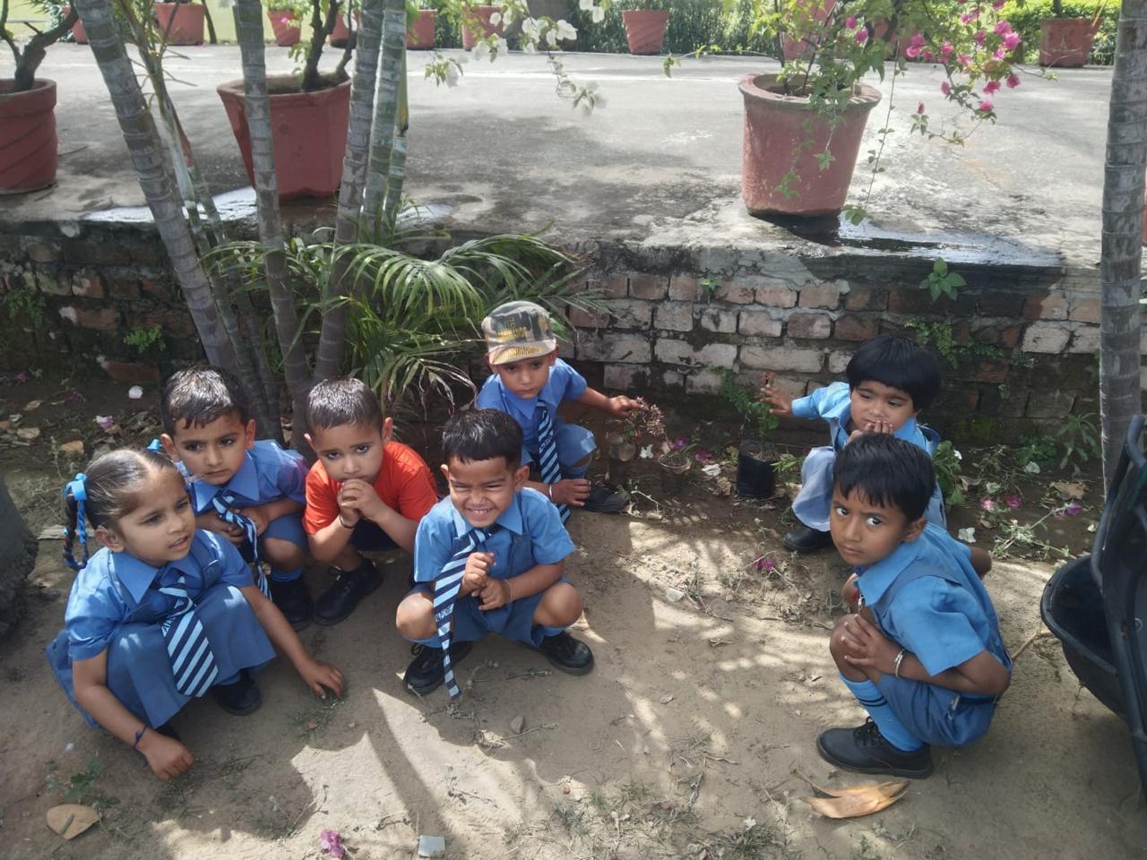Alpine International School